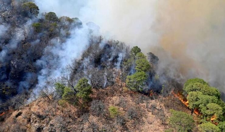 91 incendios se han registrado en 22 estados del país